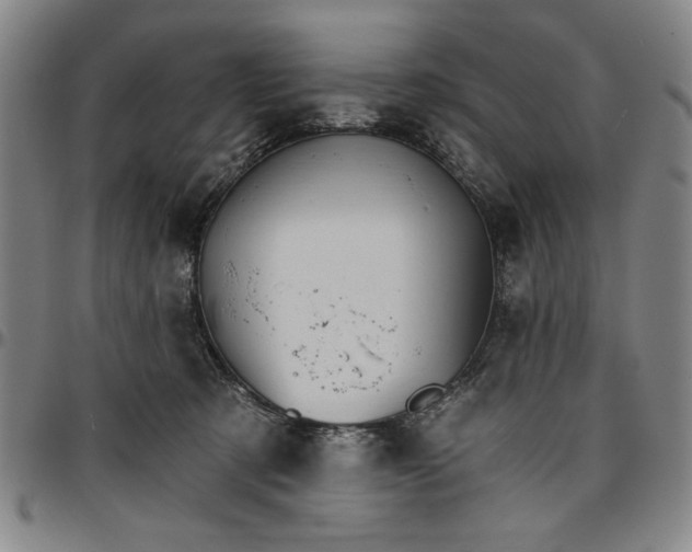 X0000096660321200802191313