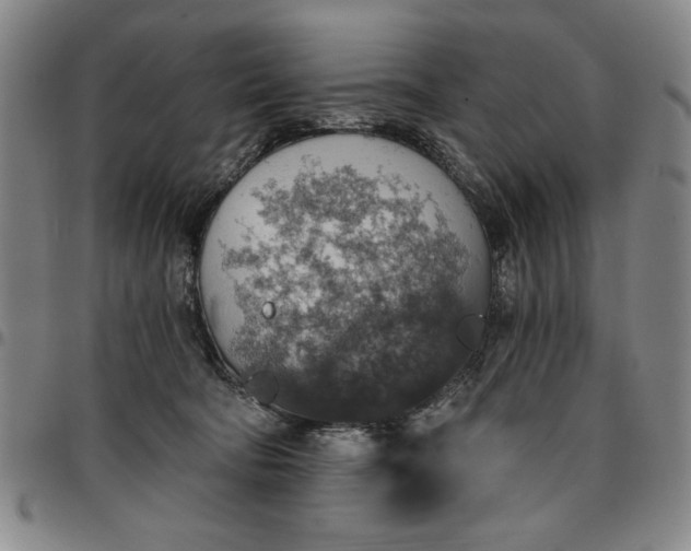 X0000096660322200802191313