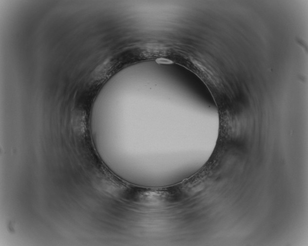 X0000096660323200802191313