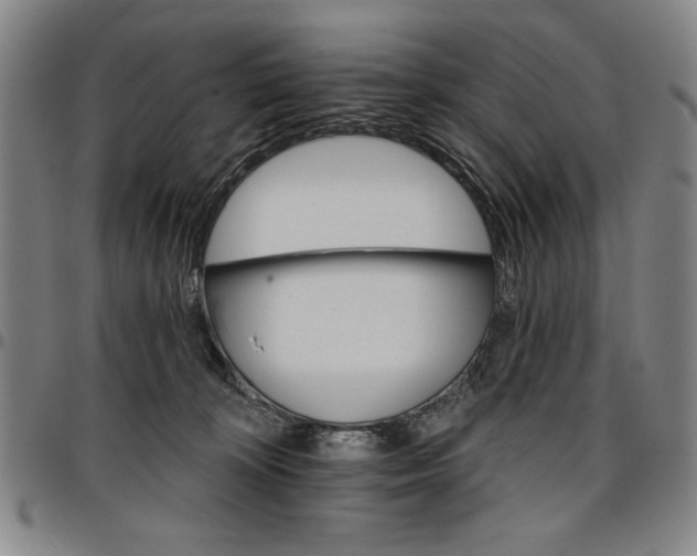 X0000096660324200802191313