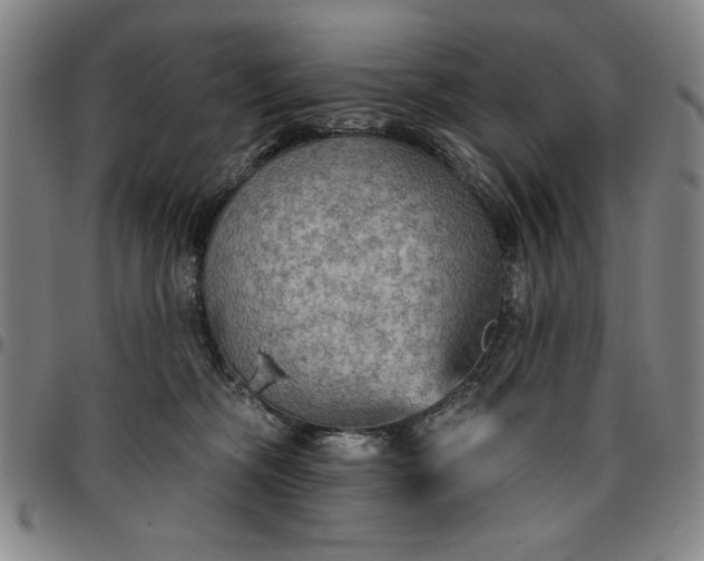 X0000096660326200802191313