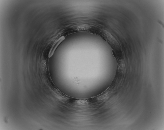 X0000096660327200802191313