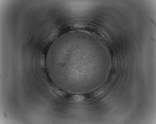 X0000096660328200802191313