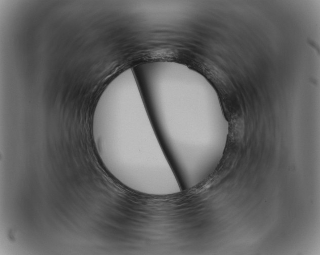 X0000096660329200802191313