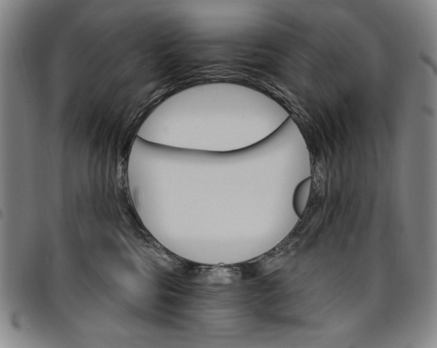 X0000096660330200802191313