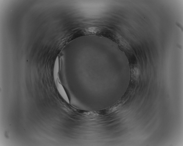 X0000096660331200802191313