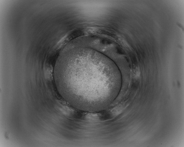 X0000096660332200802191313