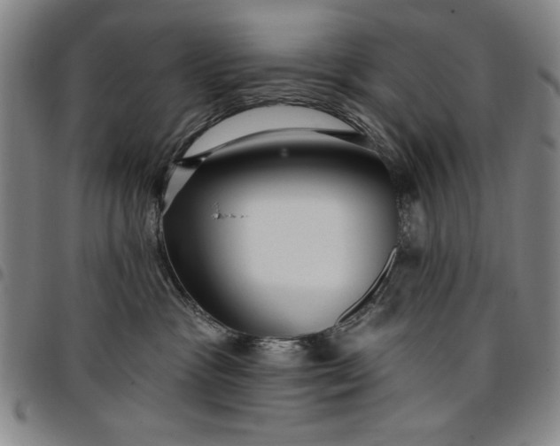 X0000096660333200802191313