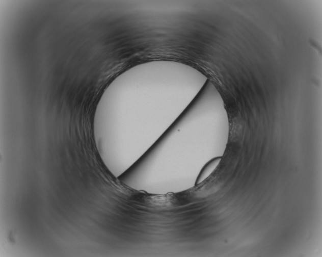 X0000096660335200802191312