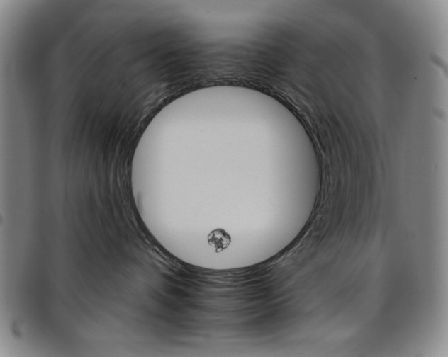 X0000096660336200802191312