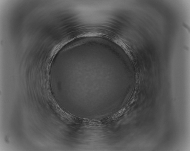 X0000096660337200802191312