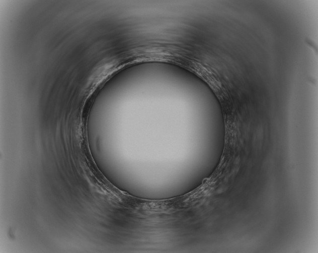 X0000096660338200802191312