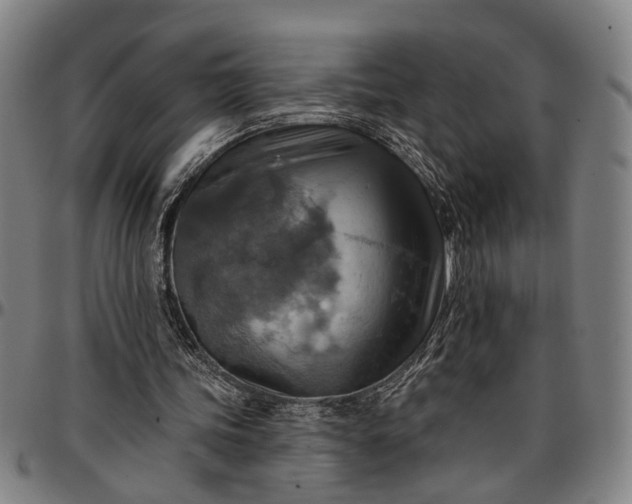 X0000096660339200802191312