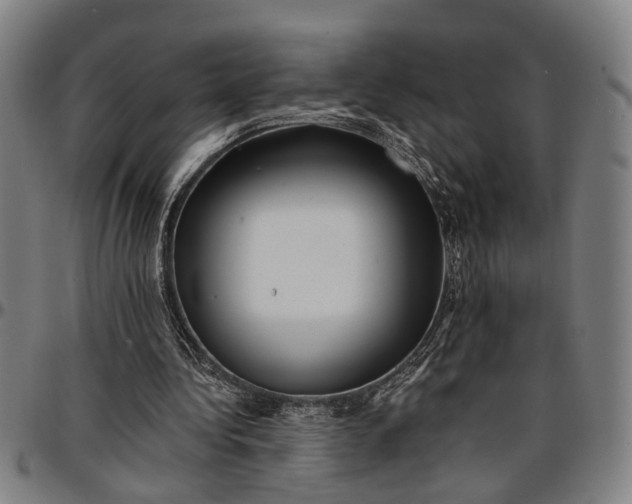 X0000096660340200802191312