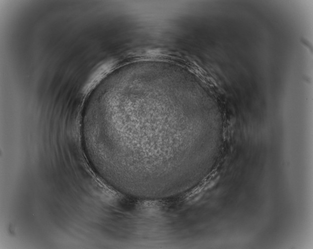 X0000096660341200802191312