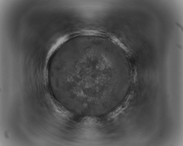 X0000096660343200802191312