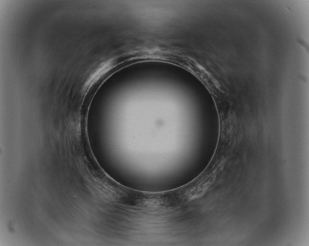 X0000096660344200802191312