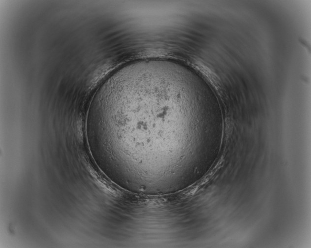 X0000096660345200802191312