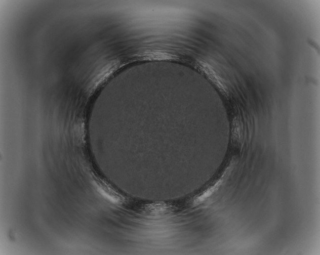 X0000096660351200802191312