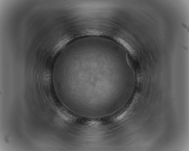 X0000096660352200802191312