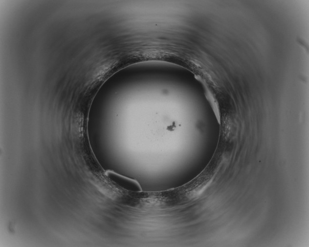 X0000096660356200802191312