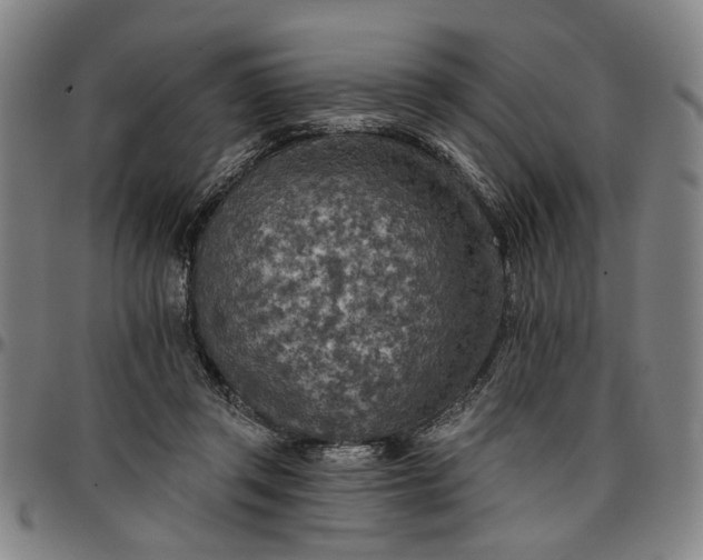 X0000096660357200802191312