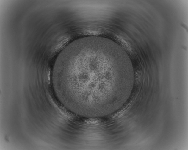 X0000096660358200802191312