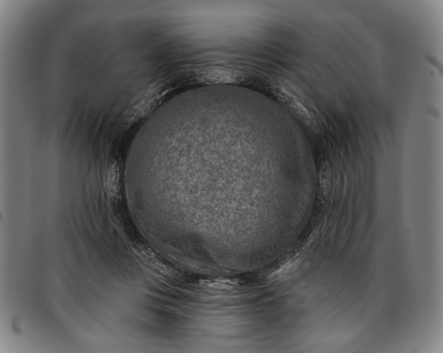 X0000096660359200802191312