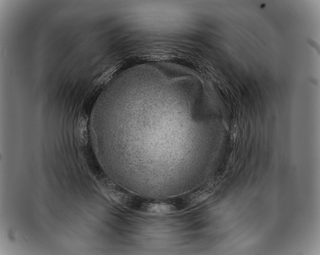 X0000096660360200802191312