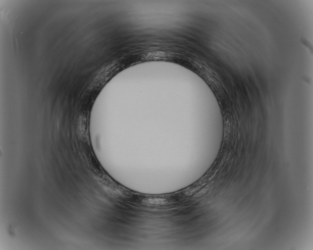 X0000096660361200802191312