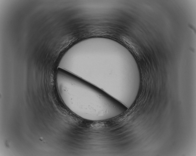 X0000096660362200802191312