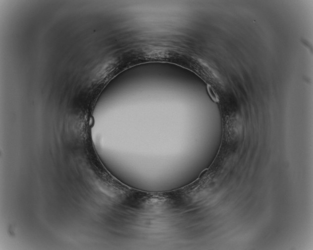 X0000096660364200802191312