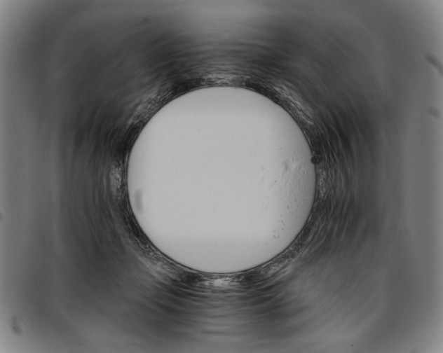 X0000096660365200802191312