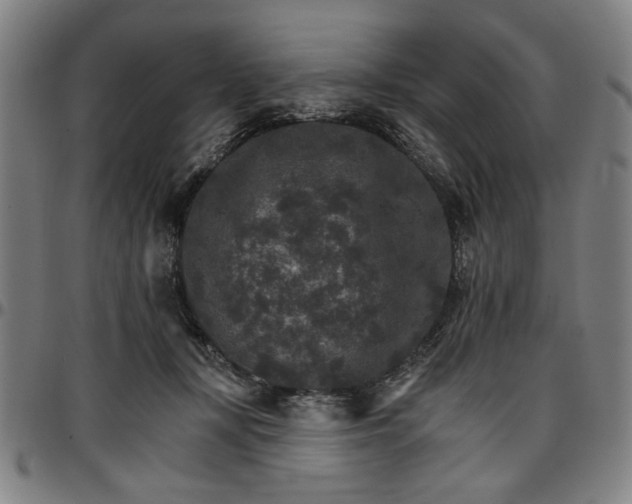 X0000096660367200802191312