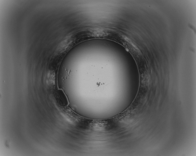 X0000096660368200802191312