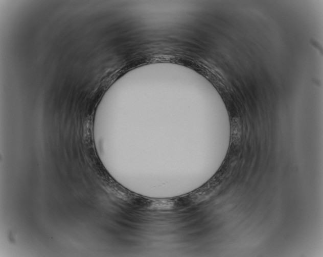 X0000096660369200802191312