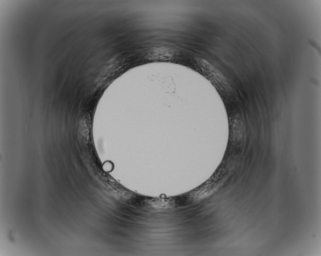 X0000096660370200802191312