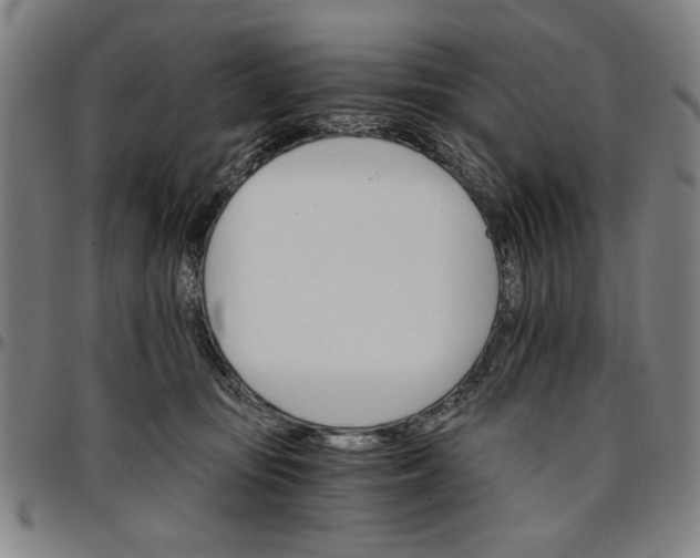 X0000096660371200802191312