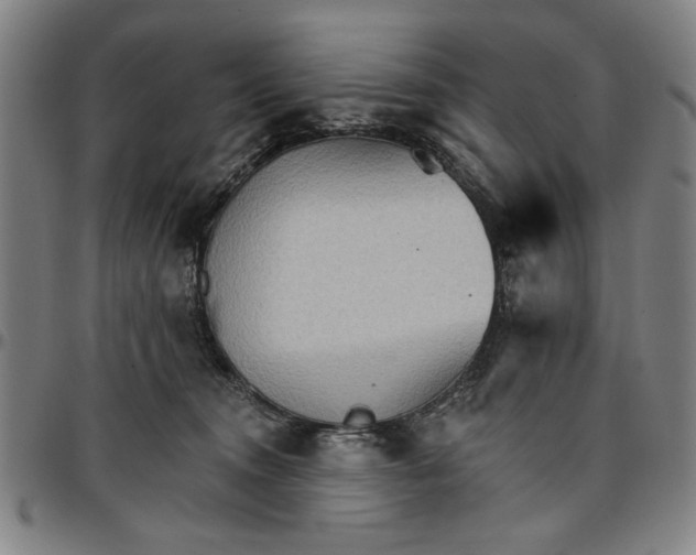 X0000096660372200802191312