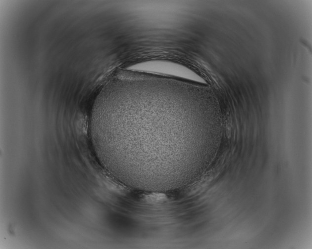 X0000096660374200802191312