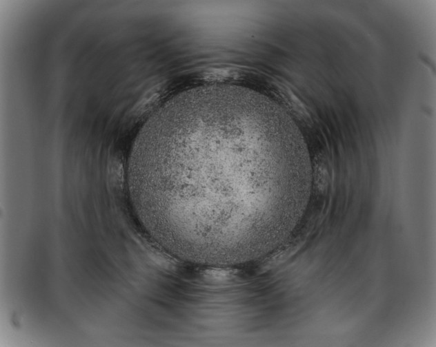 X0000096660375200802191312