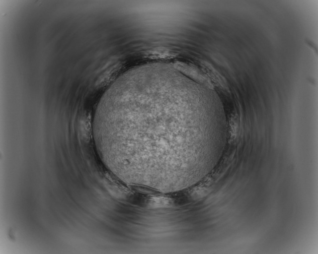 X0000096660376200802191312