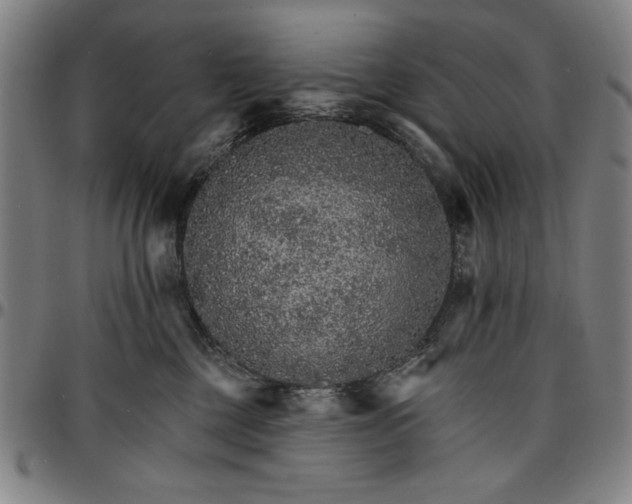 X0000096660377200802191312