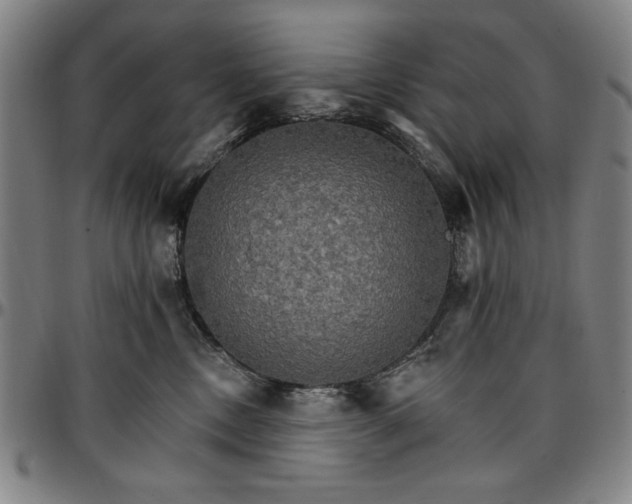 X0000096660378200802191312