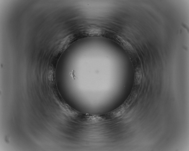 X0000096660379200802191312