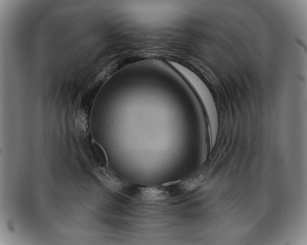 X0000096660380200802191312