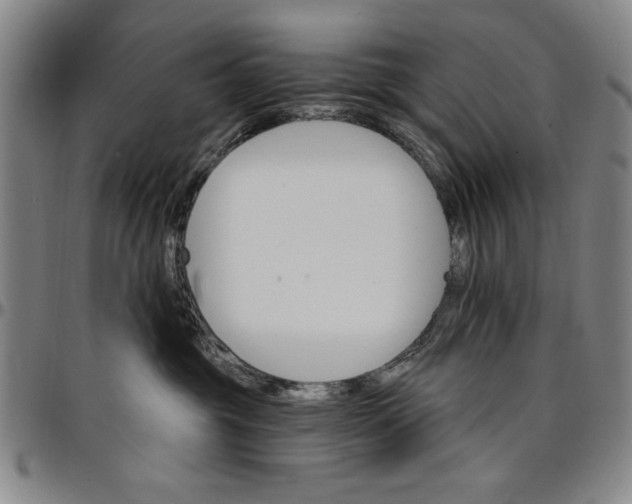 X0000096660381200802191312