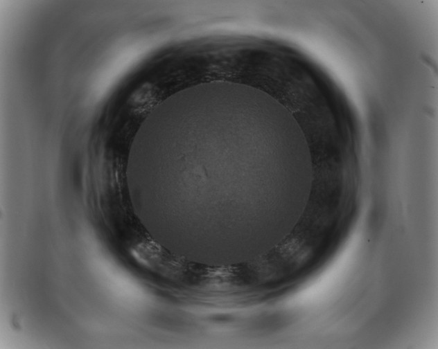 X0000096660382200802191312