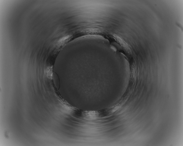 X0000096660383200802191312