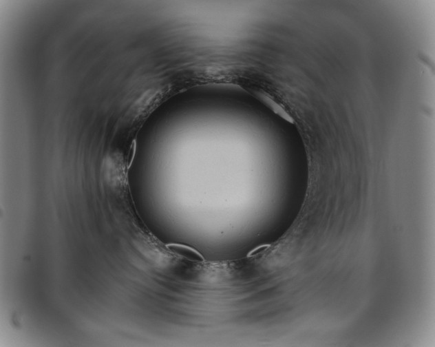 X0000096660384200802191312